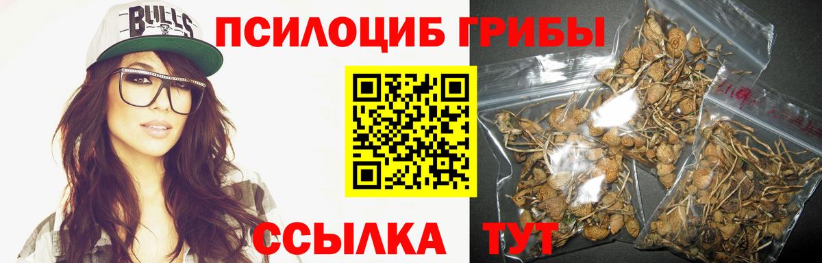 Псилоцибиновые грибы ЛСД Южно-Сахалинск