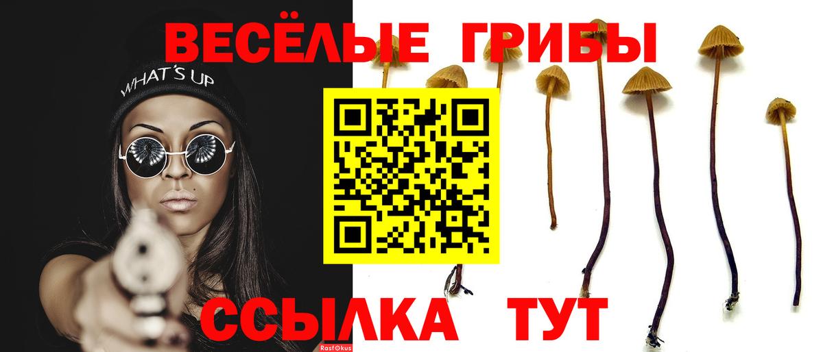 Псилоцибиновые грибы мухоморы  Вход с VPN  Южно-Сахалинск  Галлюциногенные грибы прущие грибы 